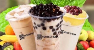 Top 4 Quán trà sữa ngon và chất lượng nhất TP. Cẩm Phả, Quảng Ninh