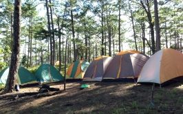 Top 4 địa chỉ cho thuê lều cắm trại giá rẻ và uy tín nhất tại Hà Nội