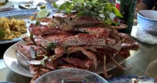 Top 4 địa điểm ăn hải sản bình dân ngon nhất khi du lịch Vũng Tàu