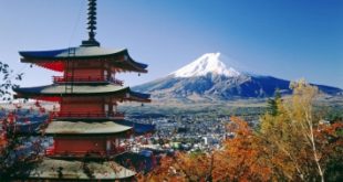 Top 6 Lý do bạn nên đi du lịch Nhật Bản