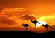 Top 7 Kỳ quan thiên nhiên hùng vĩ nhất nước Úc