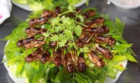 Top 7 Món ăn từ côn trùng lạ nhất Việt Nam