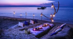 Top 9 Nhà nghỉ, khách sạn tốt nhất đảo Cô Tô