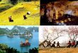 Top 9 Trang web về du lịch nổi tiếng nhất Việt Nam