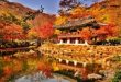 Top 9 địa điểm chụp hình đẹp nhất ở Seoul, Hàn Quốc