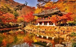 Top 9 địa điểm chụp hình đẹp nhất ở Seoul, Hàn Quốc